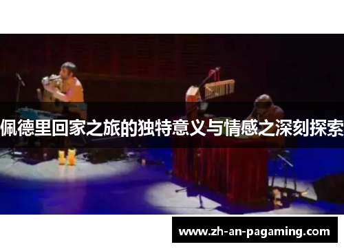 佩德里回家之旅的独特意义与情感之深刻探索