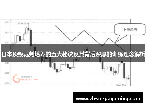 日本顶级裁判培养的五大秘诀及其背后深厚的训练理念解析
