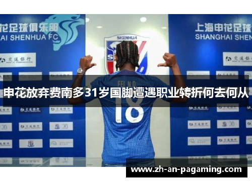 申花放弃费南多31岁国脚遭遇职业转折何去何从 申花放弃费南多31岁国脚遭遇职业转折何去何从