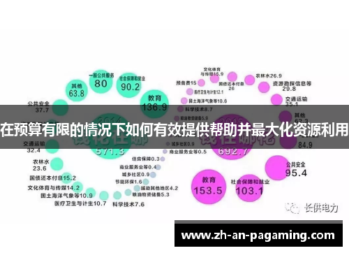 在预算有限的情况下如何有效提供帮助并最大化资源利用 在预算有限的情况下如何有效提供帮助并最大化资源利用