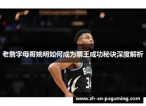 老詹字母哥姚明如何成为票王成功秘诀深度解析