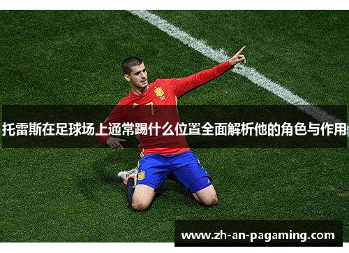 托雷斯在足球场上通常踢什么位置全面解析他的角色与作用