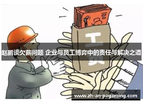 赵鹏谈欠薪问题 企业与员工博弈中的责任与解决之道