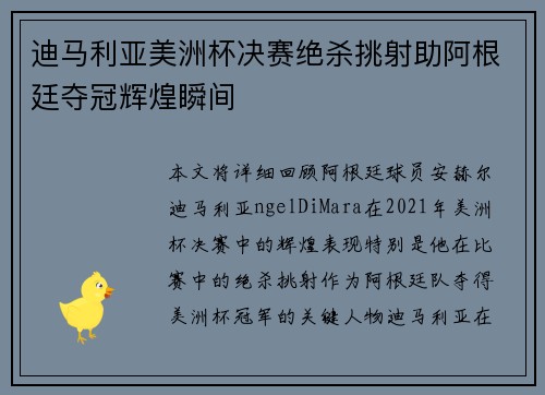 迪马利亚美洲杯决赛绝杀挑射助阿根廷夺冠辉煌瞬间