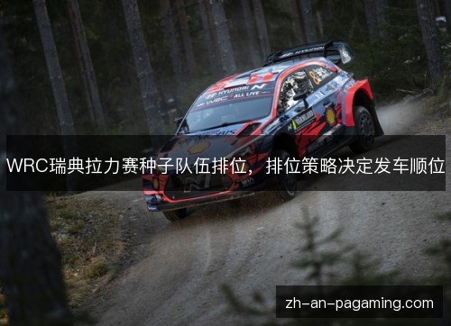 WRC瑞典拉力赛种子队伍排位,排位策略决定发车顺位 WRC瑞典拉力赛种子队伍排位,排位策略决定发车顺位