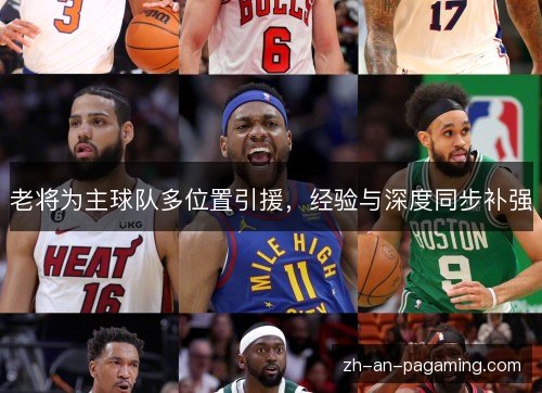 老将为主球队多位置引援,经验与深度同步补强 老将为主球队多位置引援,经验与深度同步补强
